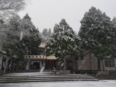 東眼山遊客中心目前溫度1°C (林業保育署新竹分署提供)